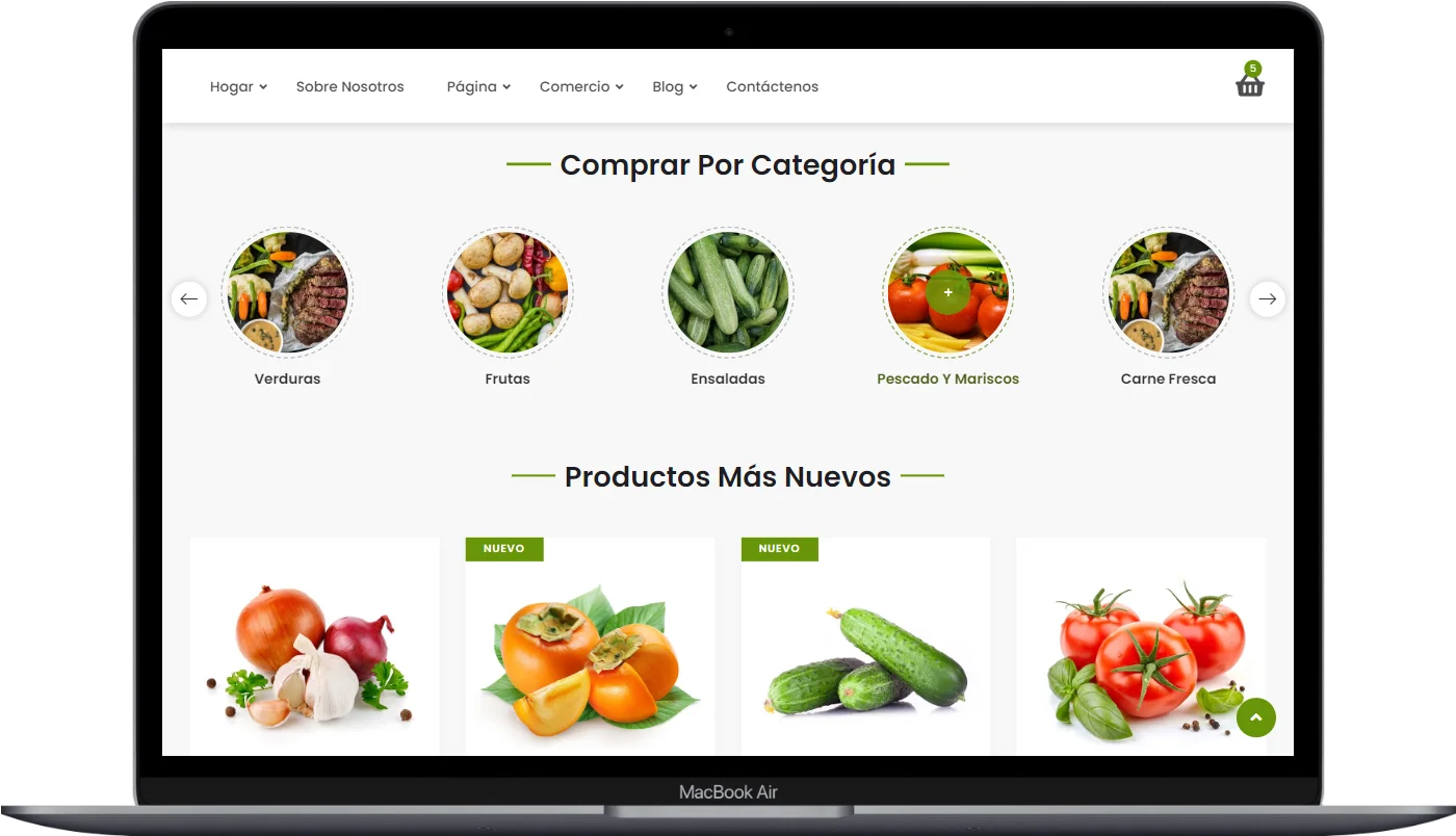 Plantilla